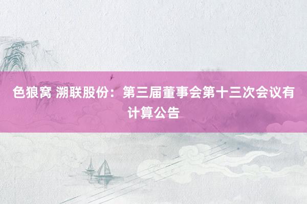 色狼窝 溯联股份：第三届董事会第十三次会议有计算公告