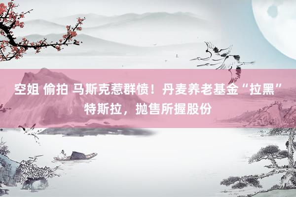 空姐 偷拍 马斯克惹群愤！丹麦养老基金“拉黑”特斯拉，抛售所握股份