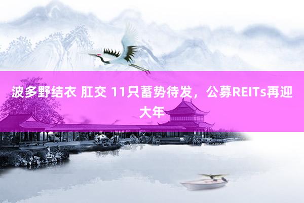 波多野结衣 肛交 11只蓄势待发，公募REITs再迎大年