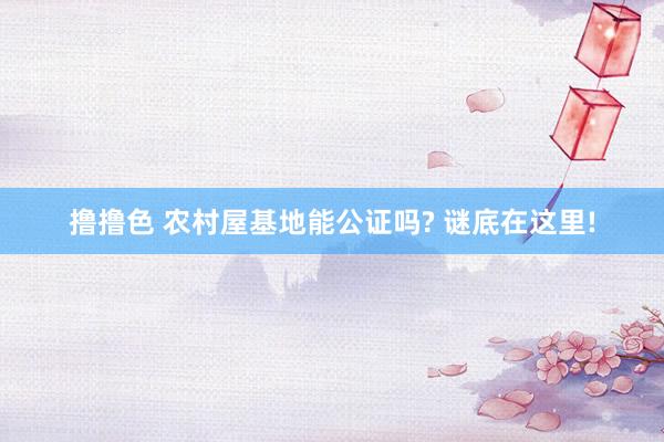 撸撸色 农村屋基地能公证吗? 谜底在这里!