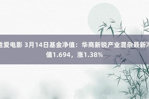 性爱电影 3月14日基金净值：华商新锐产业混杂最新净值1.694，涨1.38%
