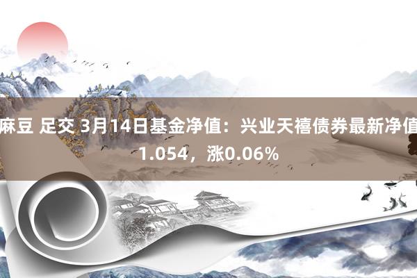 麻豆 足交 3月14日基金净值：兴业天禧债券最新净值1.054，涨0.06%