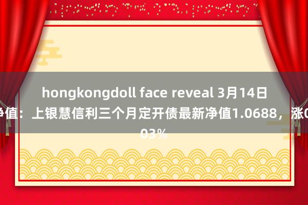 hongkongdoll face reveal 3月14日基金净值：上银慧信利三个月定开债最新净值1.0688，涨0.03%