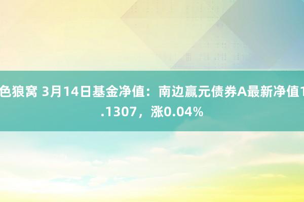 色狼窝 3月14日基金净值：南边赢元债券A最新净值1.1307，涨0.04%