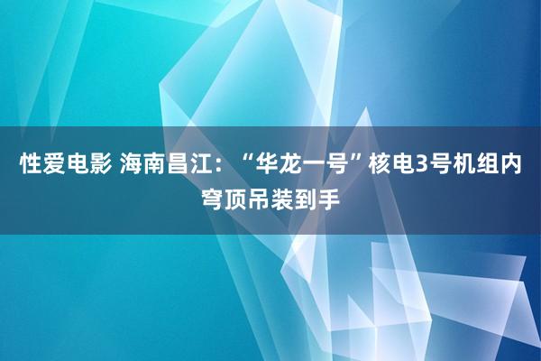 性爱电影 海南昌江：“华龙一号”核电3号机组内穹顶吊装到手