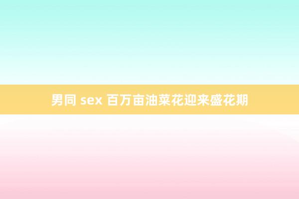 男同 sex 百万亩油菜花迎来盛花期
