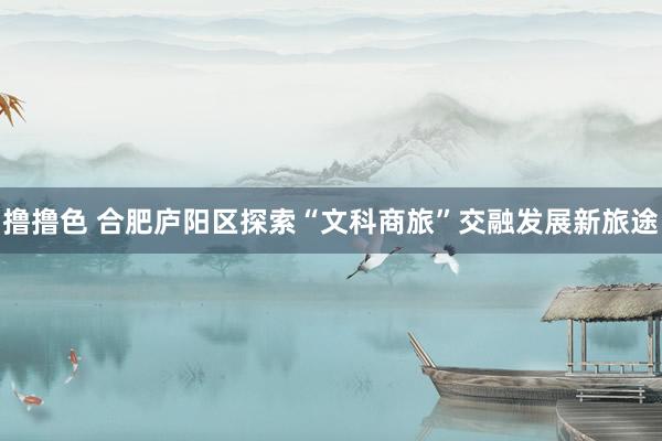 撸撸色 合肥庐阳区探索“文科商旅”交融发展新旅途