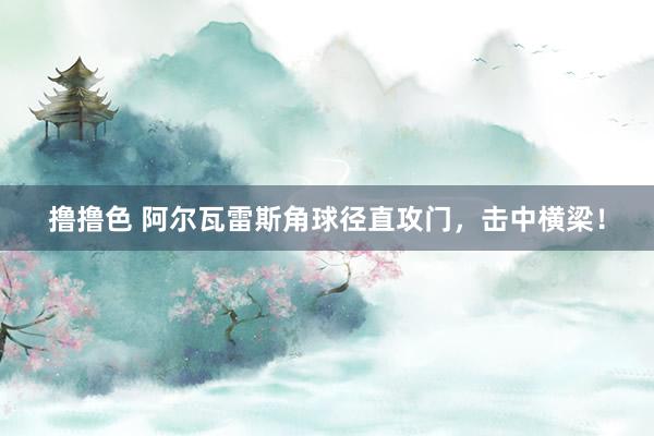 撸撸色 阿尔瓦雷斯角球径直攻门，击中横梁！