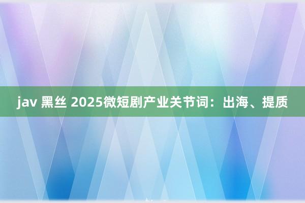 jav 黑丝 2025微短剧产业关节词：出海、提质