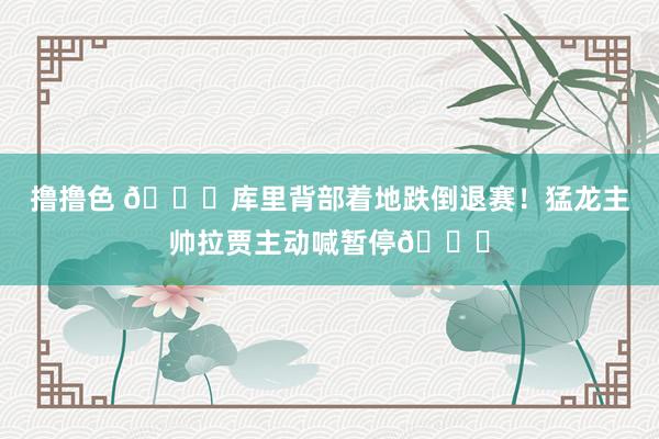 撸撸色 🙏库里背部着地跌倒退赛！猛龙主帅拉贾主动喊暂停👍