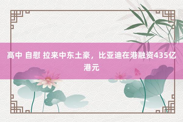 高中 自慰 拉来中东土豪，比亚迪在港融资435亿港元