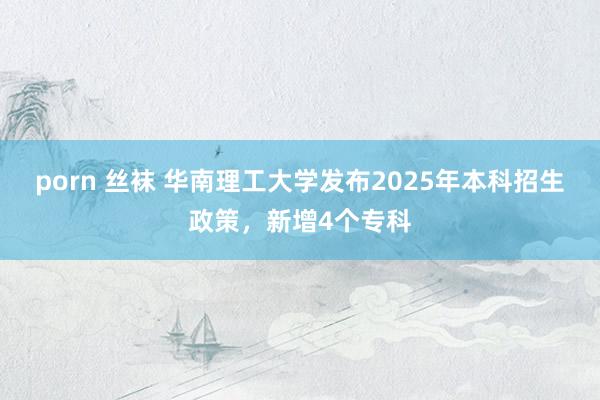 porn 丝袜 华南理工大学发布2025年本科招生政策，新增4个专科