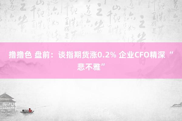 撸撸色 盘前：谈指期货涨0.2% 企业CFO精深 “悲不雅”