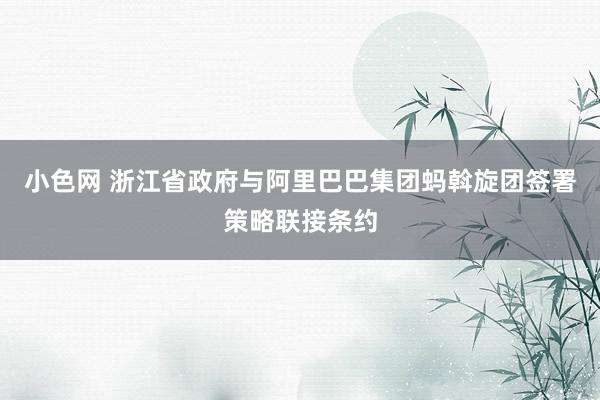 小色网 浙江省政府与阿里巴巴集团蚂斡旋团签署策略联接条约