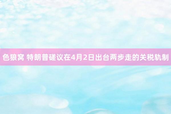 色狼窝 特朗普磋议在4月2日出台两步走的关税轨制