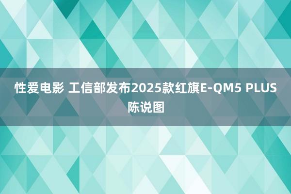性爱电影 工信部发布2025款红旗E-QM5 PLUS陈说图