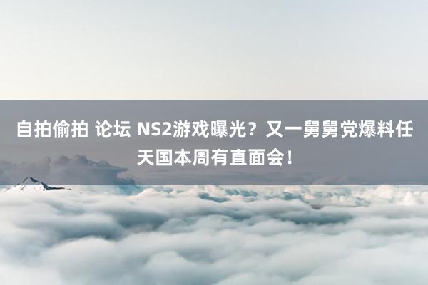 自拍偷拍 论坛 NS2游戏曝光？又一舅舅党爆料任天国本周有直面会！