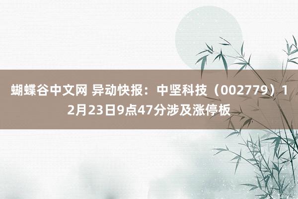 蝴蝶谷中文网 异动快报：中坚科技（002779）12月23日9点47分涉及涨停板
