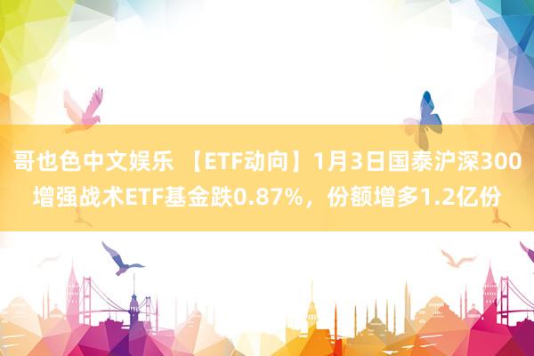 哥也色中文娱乐 【ETF动向】1月3日国泰沪深300增强战术ETF基金跌0.87%，份额增多1.2亿份