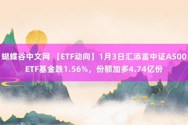 蝴蝶谷中文网 【ETF动向】1月3日汇添富中证A500ETF基金跌1.56%，份额加多4.74亿份