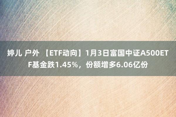 婷儿 户外 【ETF动向】1月3日富国中证A500ETF基金跌1.45%，份额增多6.06亿份