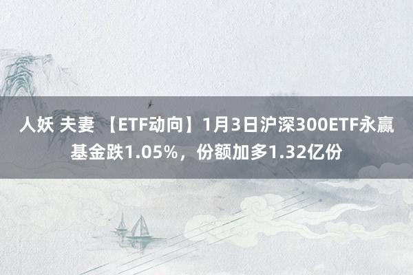 人妖 夫妻 【ETF动向】1月3日沪深300ETF永赢基金跌1.05%，份额加多1.32亿份