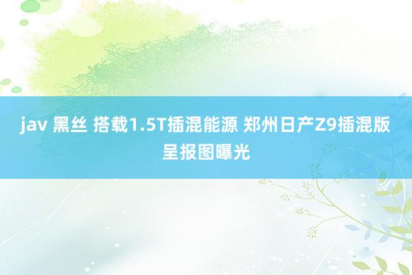 jav 黑丝 搭载1.5T插混能源 郑州日产Z9插混版呈报图曝光