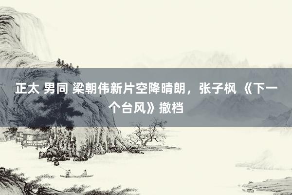 正太 男同 梁朝伟新片空降晴朗，张子枫 《下一个台风》撤档