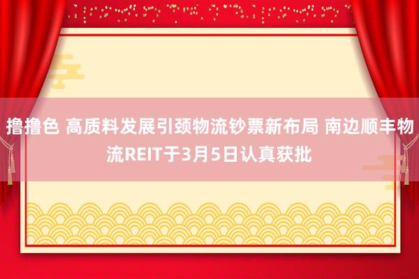 撸撸色 高质料发展引颈物流钞票新布局 南边顺丰物流REIT于3月5日认真获批
