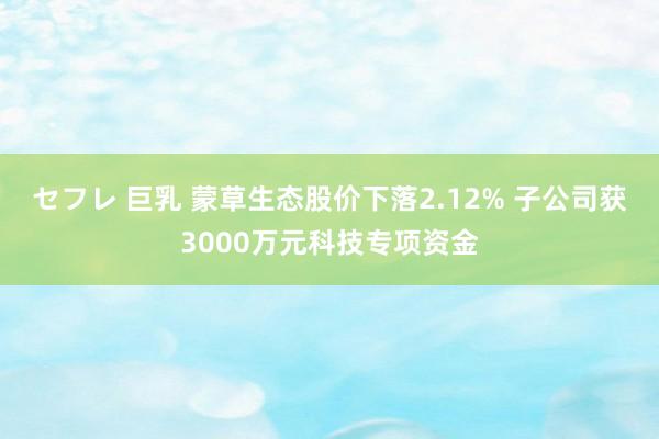 セフレ 巨乳 蒙草生态股价下落2.12% 子公司获3000万元科技专项资金
