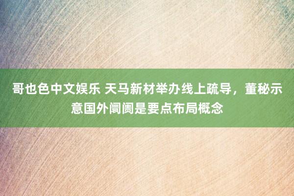 哥也色中文娱乐 天马新材举办线上疏导，董秘示意国外阛阓是要点布局概念