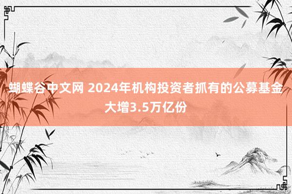 蝴蝶谷中文网 2024年机构投资者抓有的公募基金大增3.5万亿份