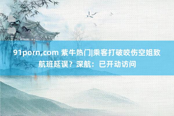 91porn，com 紫牛热门|乘客打破咬伤空姐致航班延误？深航：已开动访问