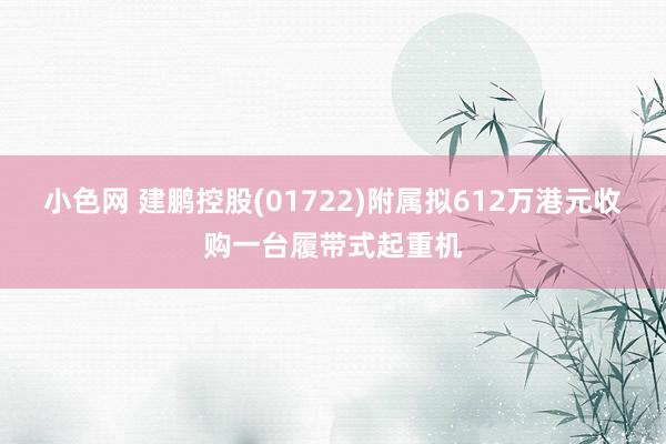 小色网 建鹏控股(01722)附属拟612万港元收购一台履带式起重机