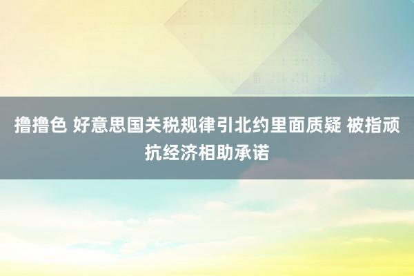 撸撸色 好意思国关税规律引北约里面质疑 被指顽抗经济相助承诺