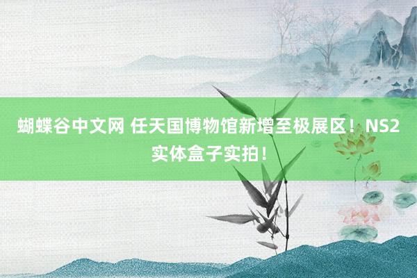 蝴蝶谷中文网 任天国博物馆新增至极展区！NS2实体盒子实拍！