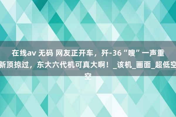 在线av 无码 网友正开车，歼-36“嗖”一声重新顶掠过，东大六代机可真大啊！_该机_画面_超低空