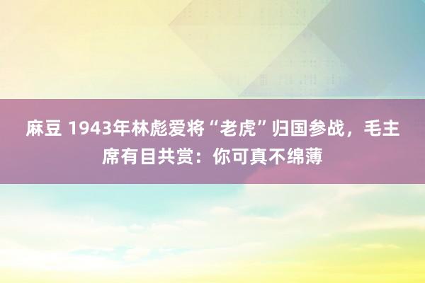 麻豆 1943年林彪爱将“老虎”归国参战，毛主席有目共赏：你可真不绵薄