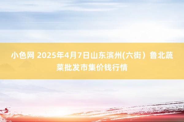 小色网 2025年4月7日山东滨州(六街）鲁北蔬菜批发市集价钱行情