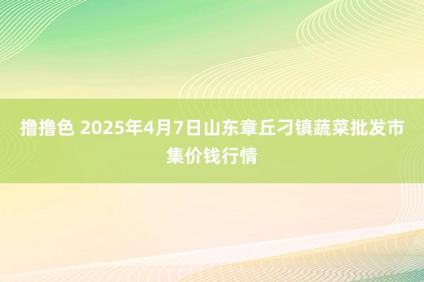 撸撸色 2025年4月7日山东章丘刁镇蔬菜批发市集价钱行情