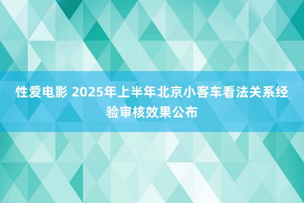 性爱电影 2025年上半年北京小客车看法关系经验审核效果公布