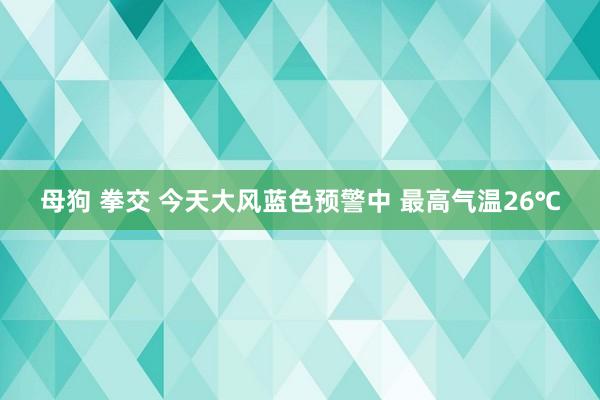 母狗 拳交 今天大风蓝色预警中 最高气温26℃