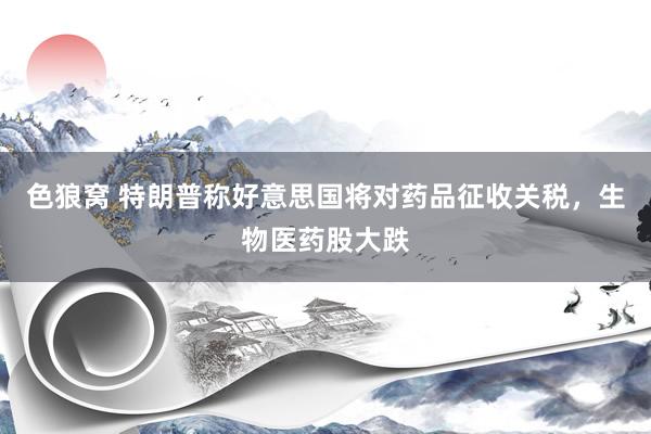 色狼窝 特朗普称好意思国将对药品征收关税，生物医药股大跌