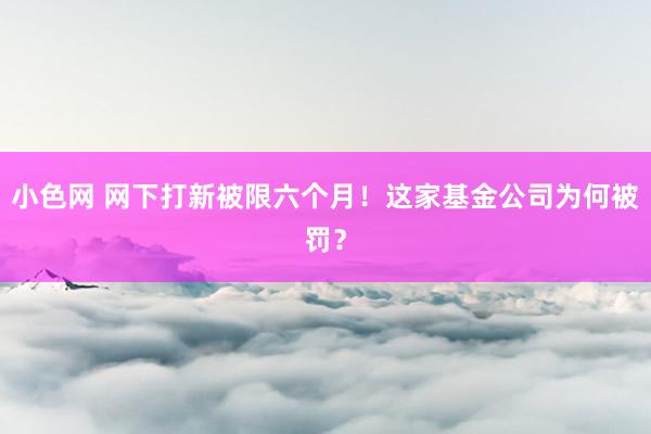 小色网 网下打新被限六个月！这家基金公司为何被罚？