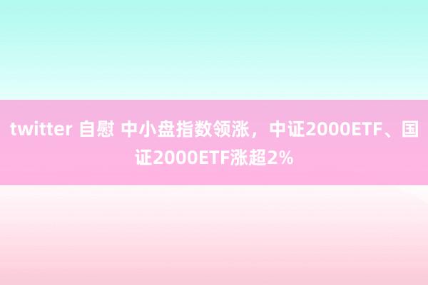 twitter 自慰 中小盘指数领涨，中证2000ETF、国证2000ETF涨超2%
