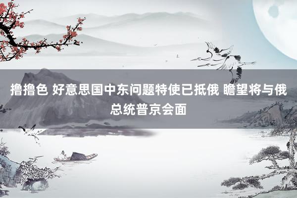 撸撸色 好意思国中东问题特使已抵俄 瞻望将与俄总统普京会面