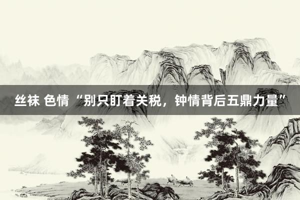丝袜 色情 “别只盯着关税，钟情背后五鼎力量”