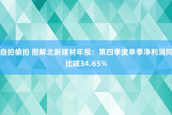 自拍偷拍 图解北新建材年报：第四季度单季净利润同比减34.65%