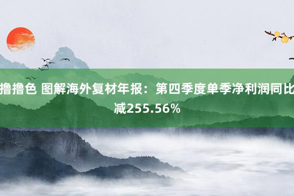 撸撸色 图解海外复材年报：第四季度单季净利润同比减255.56%