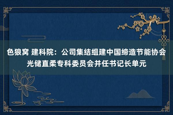 色狼窝 建科院：公司集结组建中国缔造节能协会光储直柔专科委员会并任书记长单元